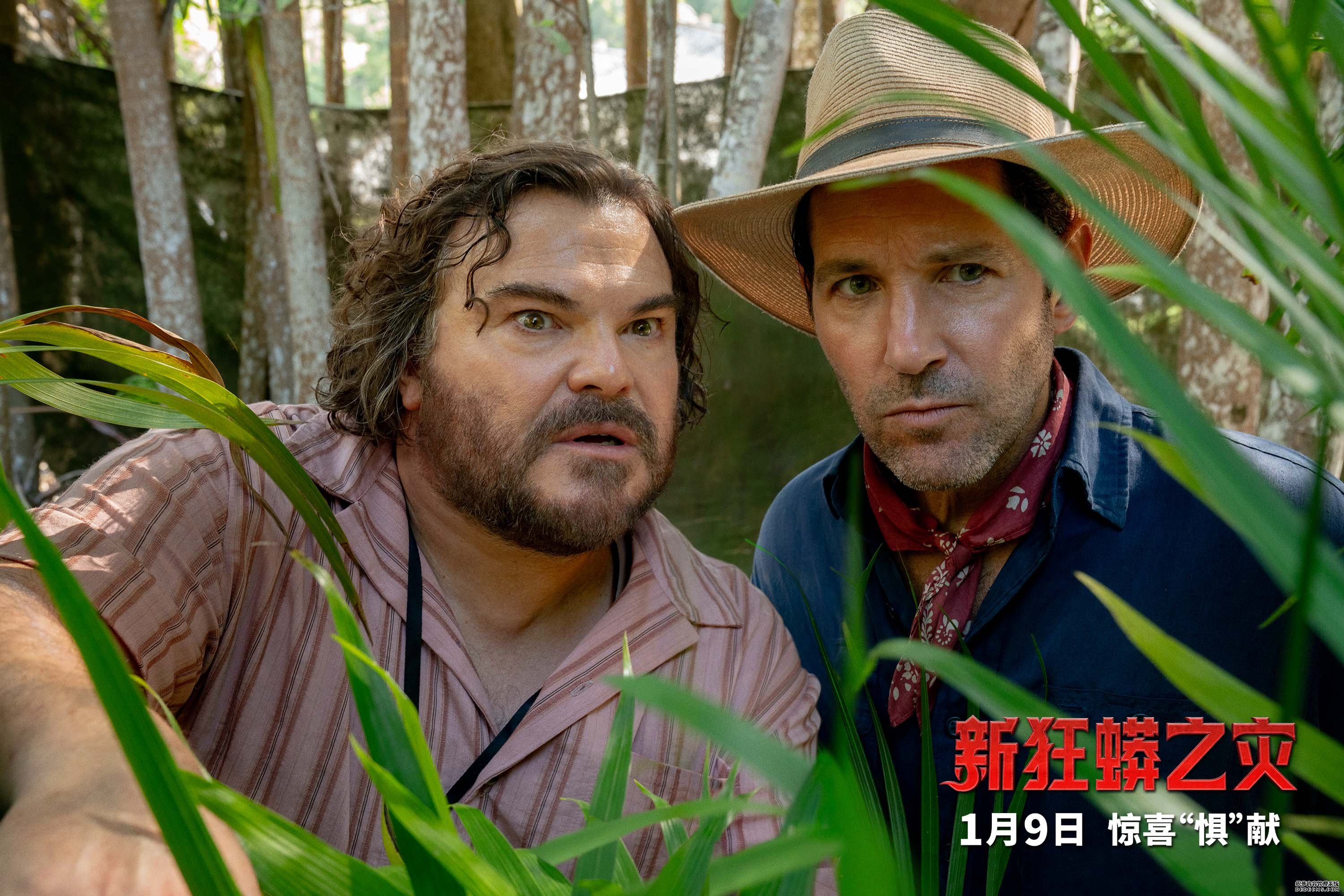 喜人斗大蛇 年度最“蛇精病”电影《新狂蟒之灾》1月9日全国上映