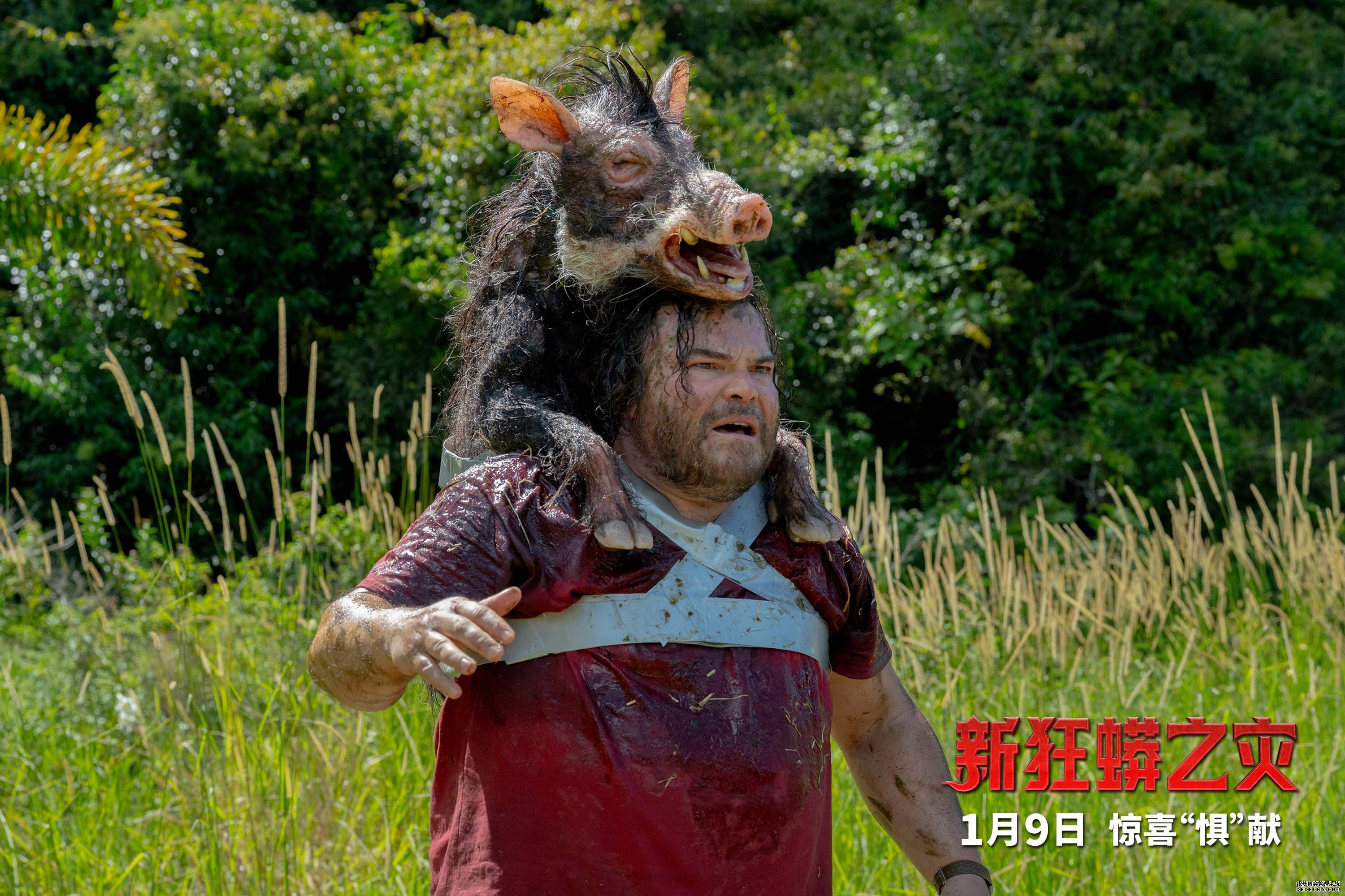 喜人斗大蛇 年度最“蛇精病”电影《新狂蟒之灾》1月9日全国上映