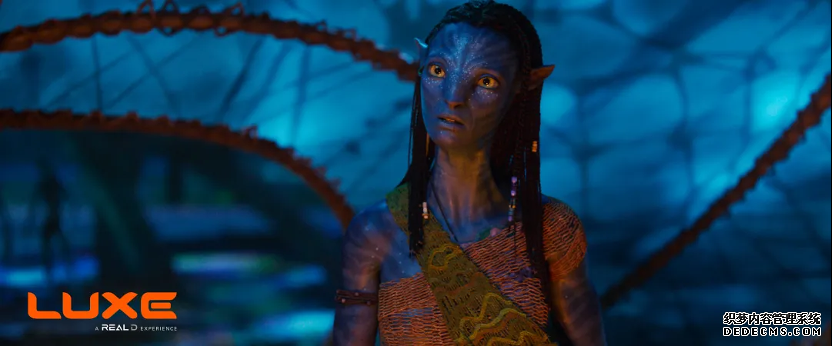 年度必看科幻巨制上映！RealD推出《阿凡达3》电影主题3D眼镜