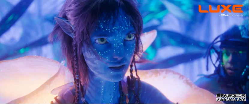 年度必看科幻巨制上映！RealD推出《阿凡达3》电影主题3D眼镜