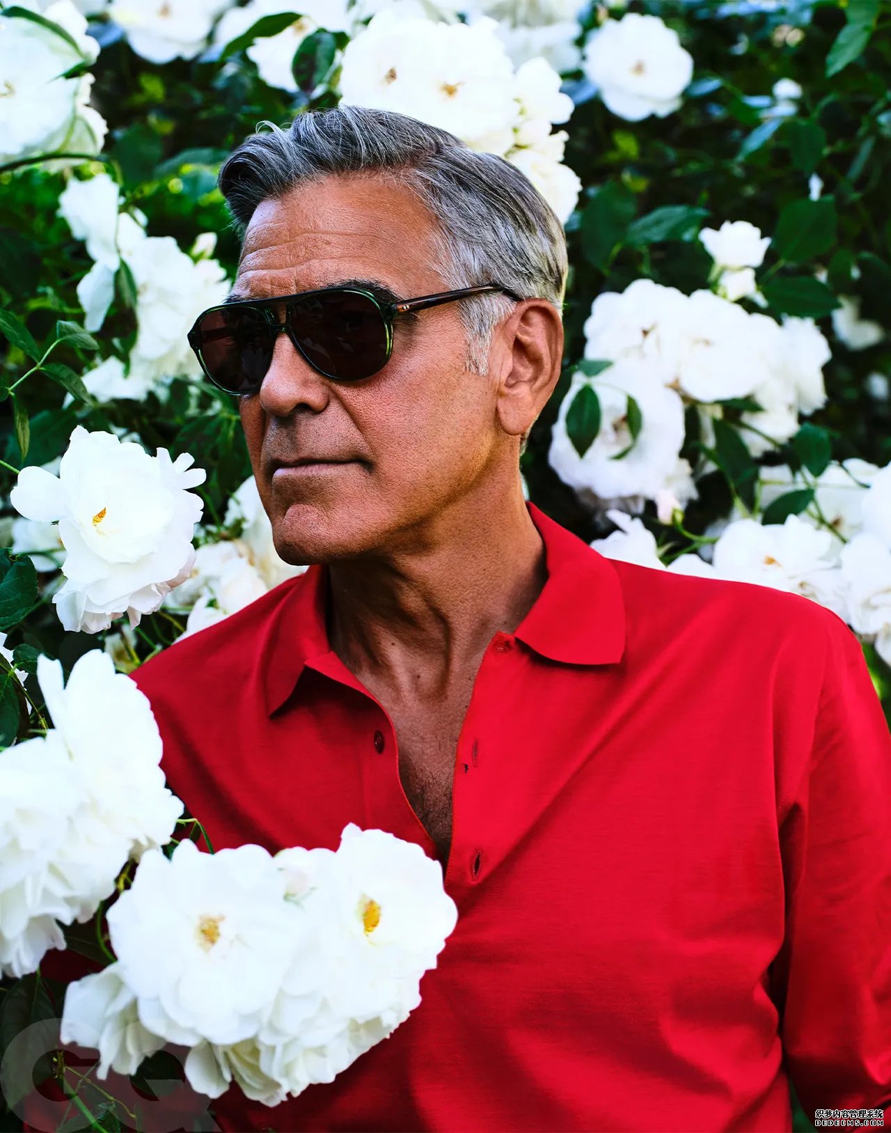 布拉德皮特和乔治克鲁尼登《GQ》杂志封面