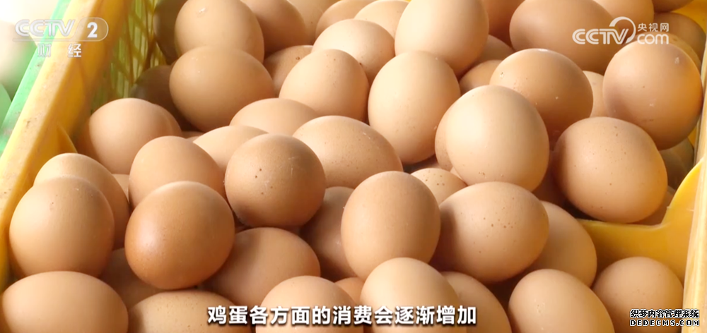 节假日备货拉动下游市场消费需求 全国鸡蛋价格出现反弹