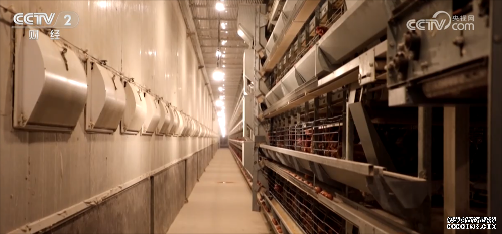 节假日备货拉动下游市场消费需求 全国鸡蛋价格出现反弹