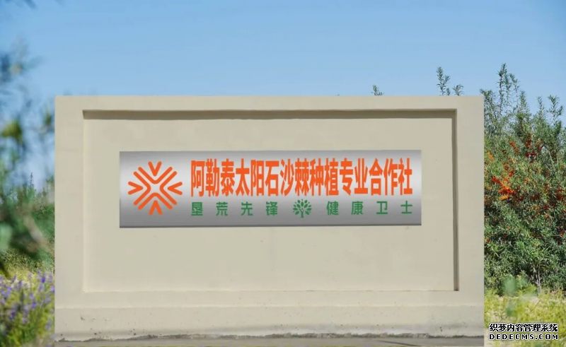 垦荒先锋2025新图景：沙棘绿染阿勒泰，助力生态共富之路