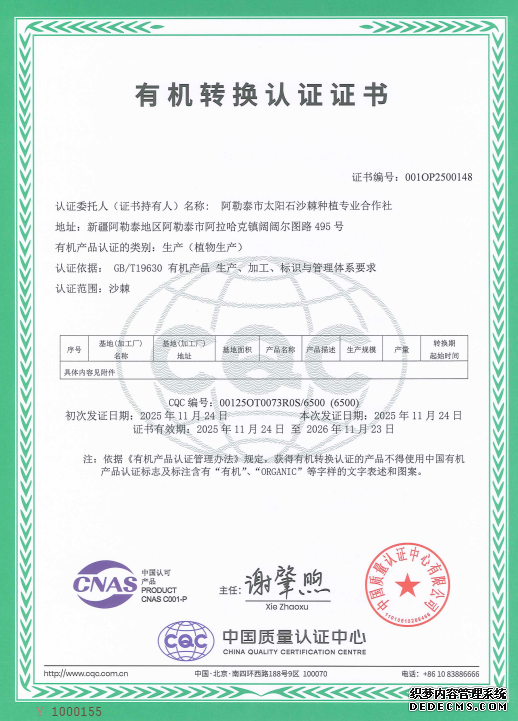 垦荒先锋2025新图景：沙棘绿染阿勒泰，助力生态共富之路