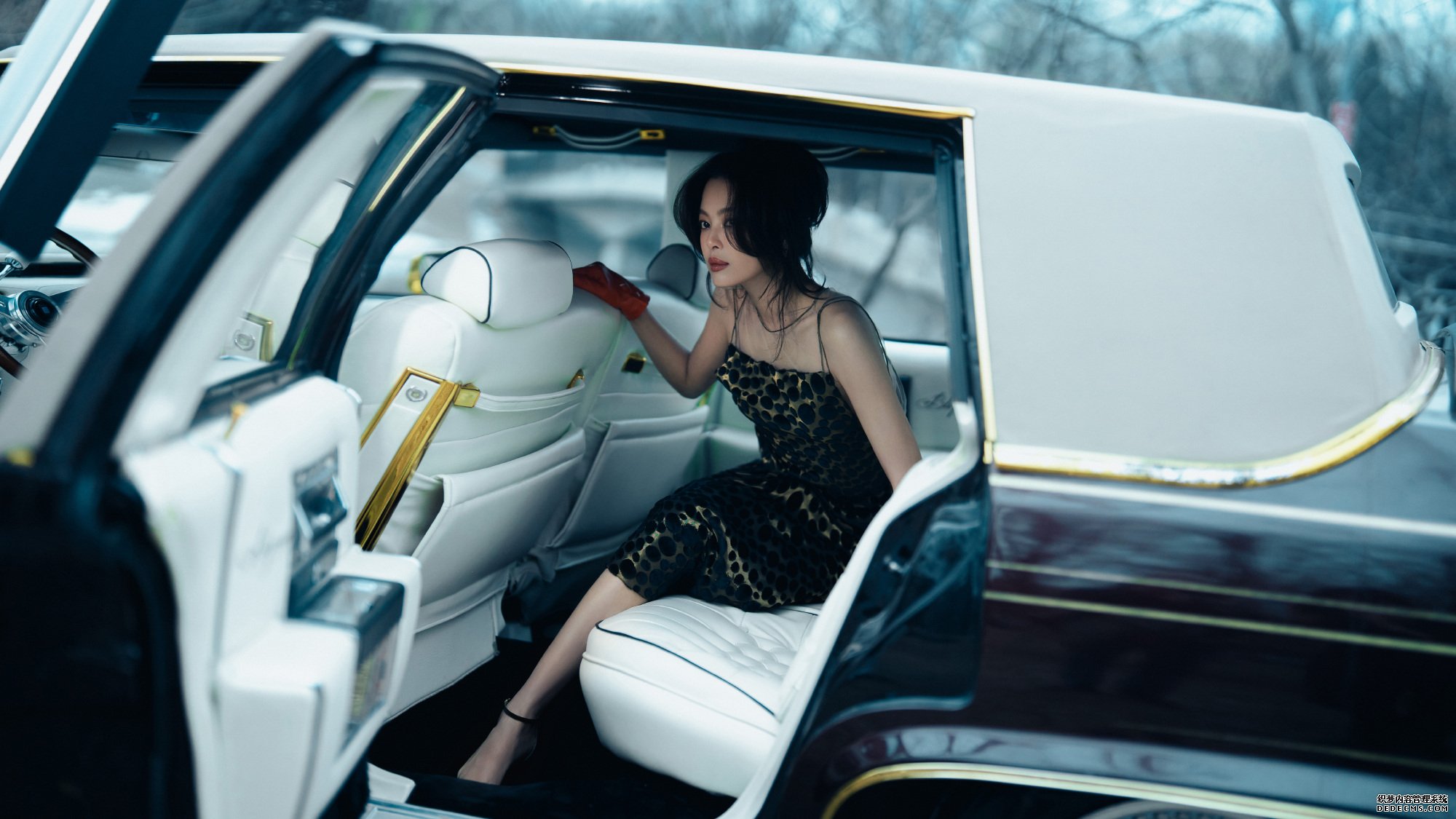 演员辛芷蕾曝光时尚写真，“至真园”老板娘尝试全新风格