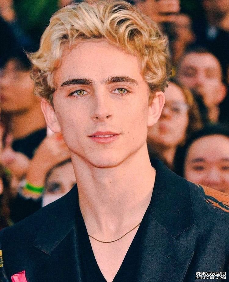 真人《塞尔达传说》谁来演林克?国外网友脑洞大开