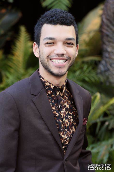 真人《塞尔达传说》谁来演林克?国外网友脑洞大开