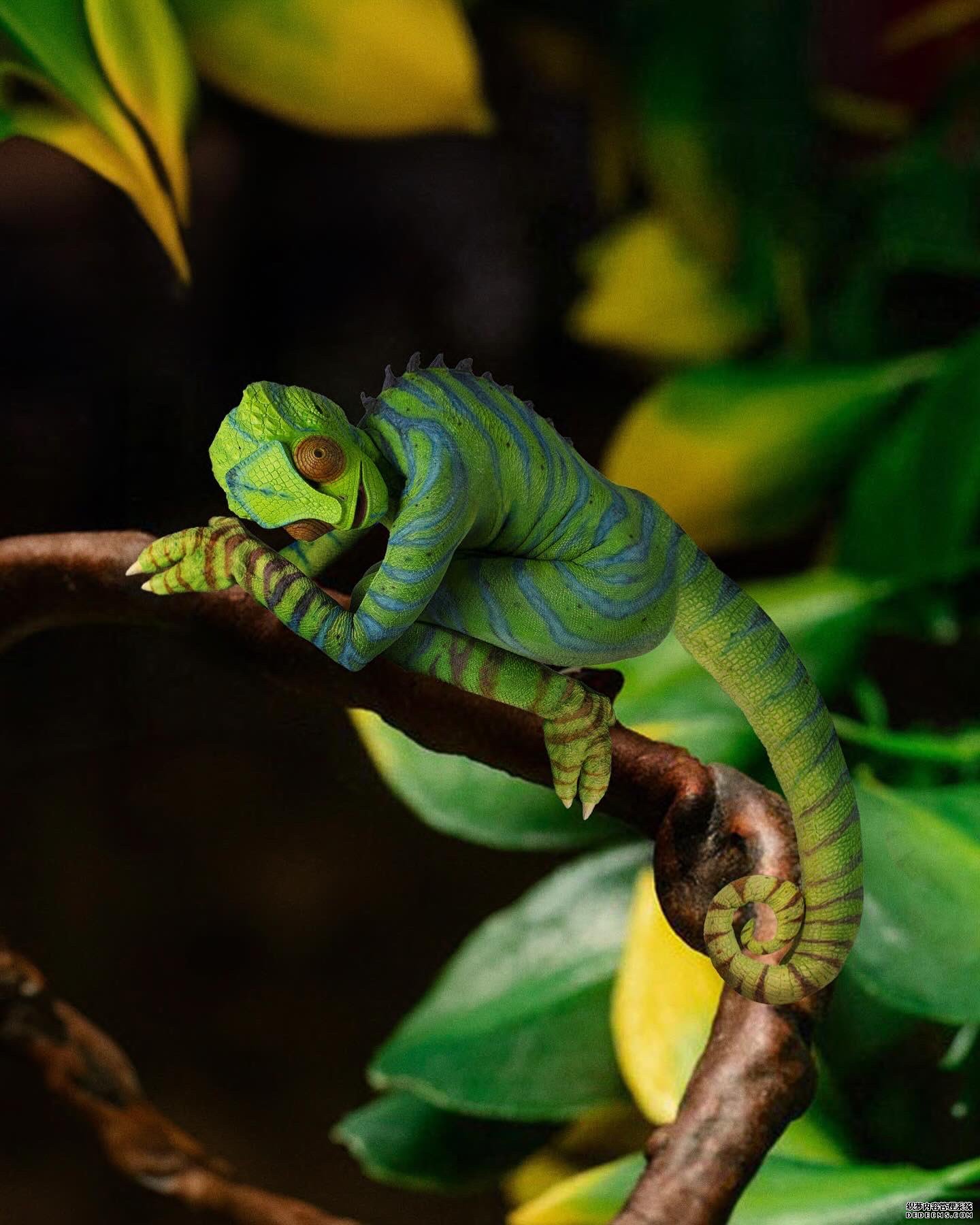 更多好莱坞明星万圣节Cosplay 加奈儿·梦奈竟然装扮成变色龙！