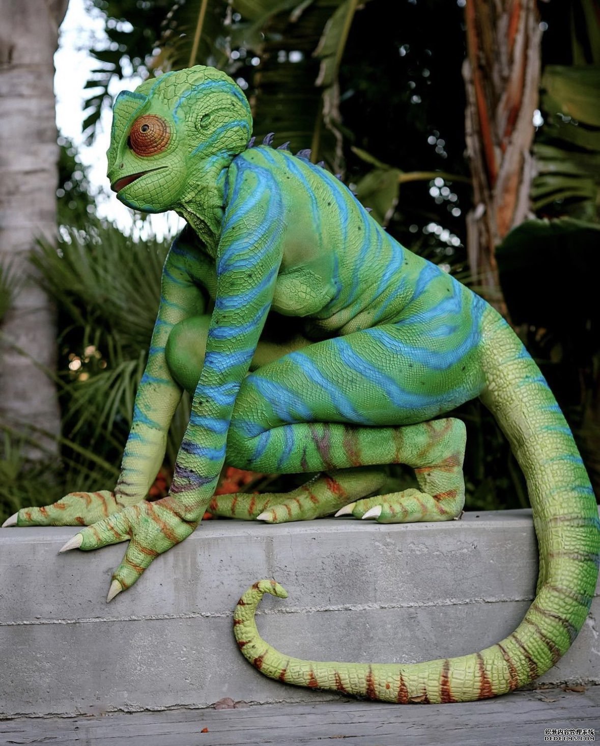 更多好莱坞明星万圣节Cosplay 加奈儿·梦奈竟然装扮成变色龙！