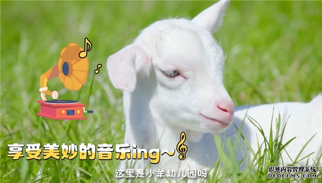 锁定婴儿奶粉排行榜10强!佳贝艾特悦白的喂养优势藏不住了